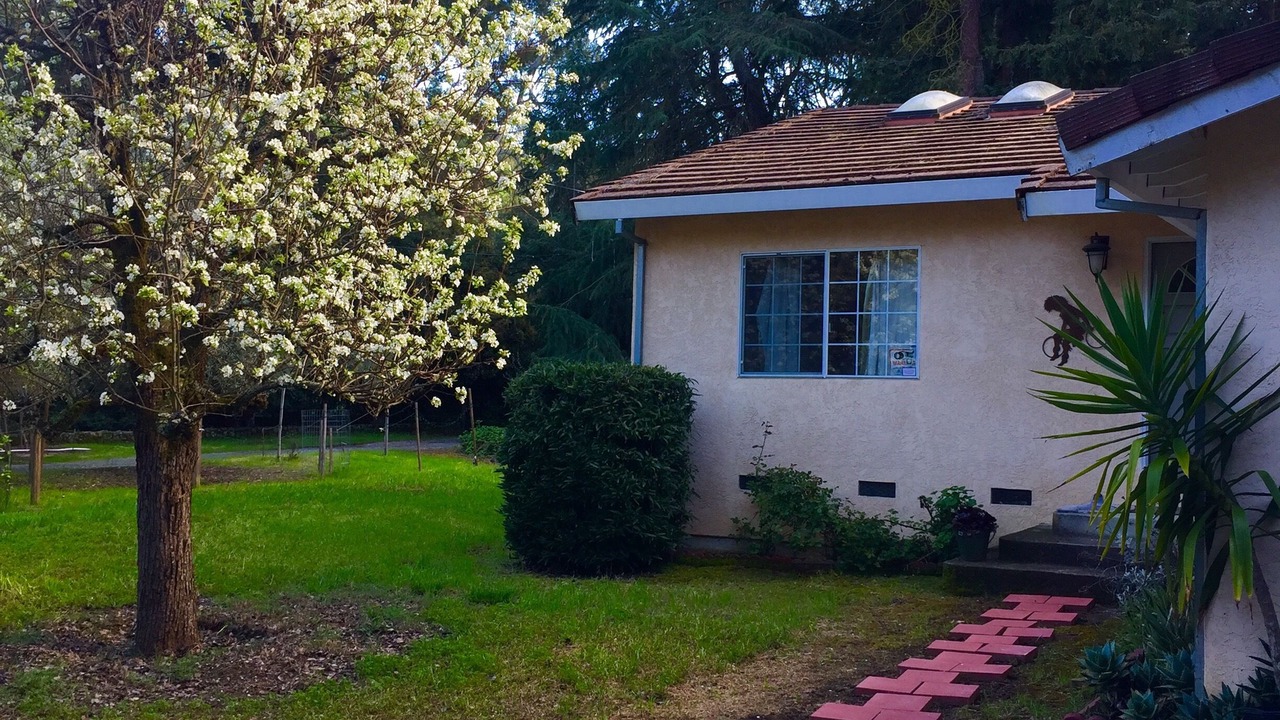 Photo of Outdoor in Martinez