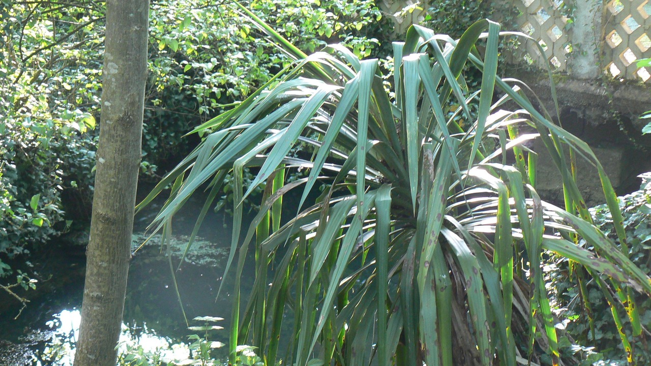 Photo of Outdoor in Sampigny