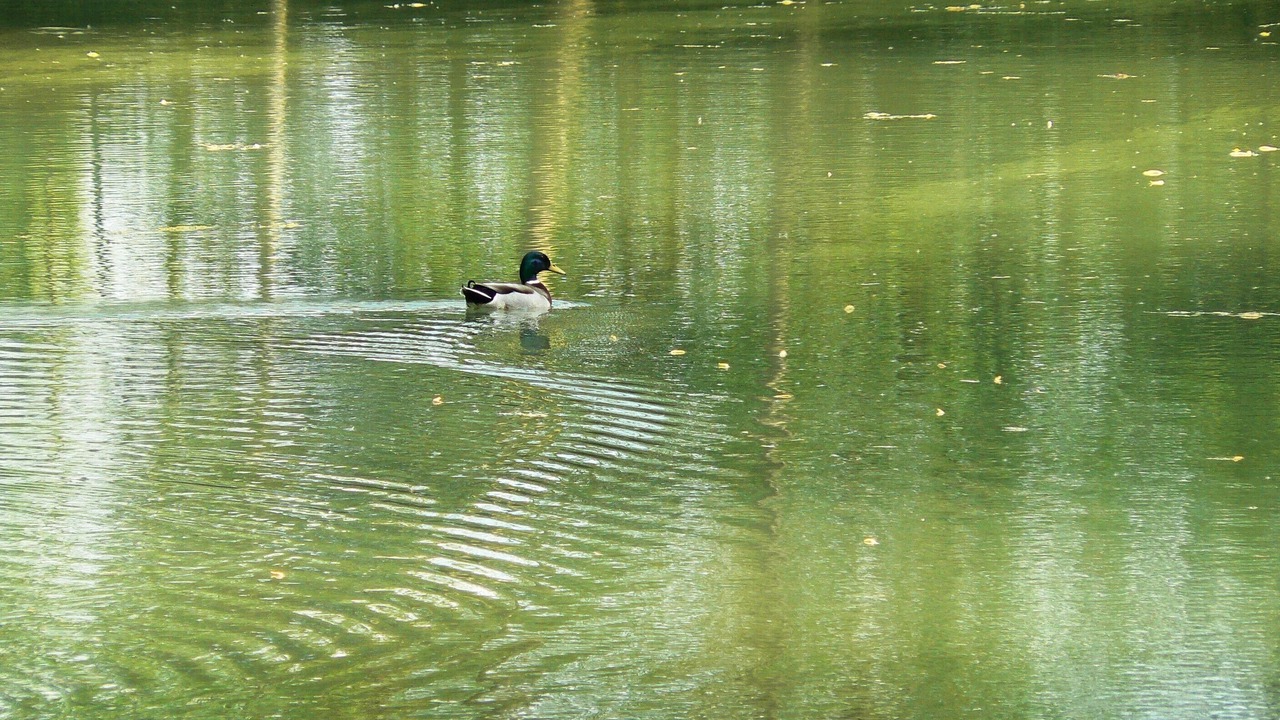 Photo of Outdoor in Sampigny