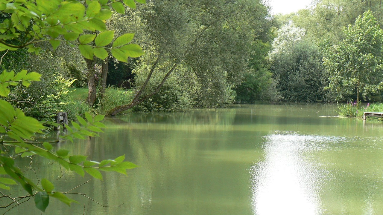 Photo of Outdoor in Sampigny