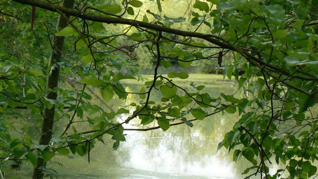 Photo of Outdoor in Sampigny