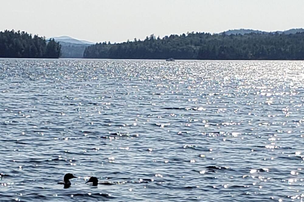 Photo of Outdoor in Saranac Lake