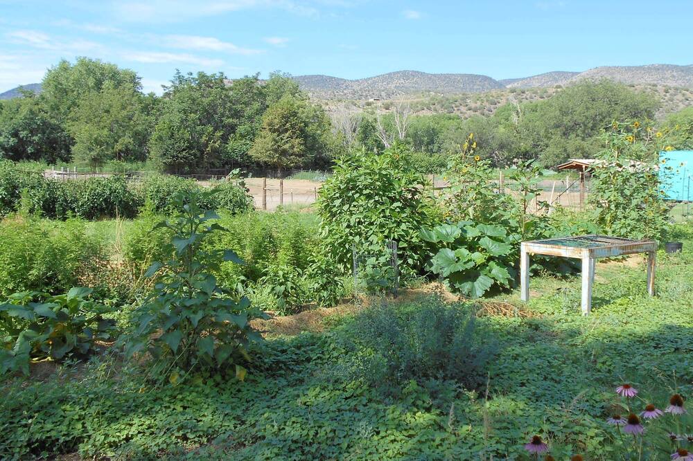Photo of Outdoor in Mule Creek