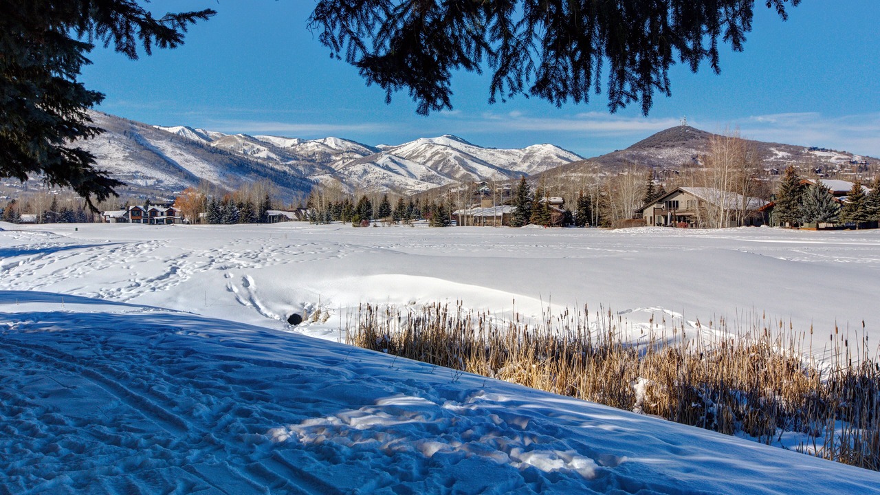 Photo of Others in Park Meadows