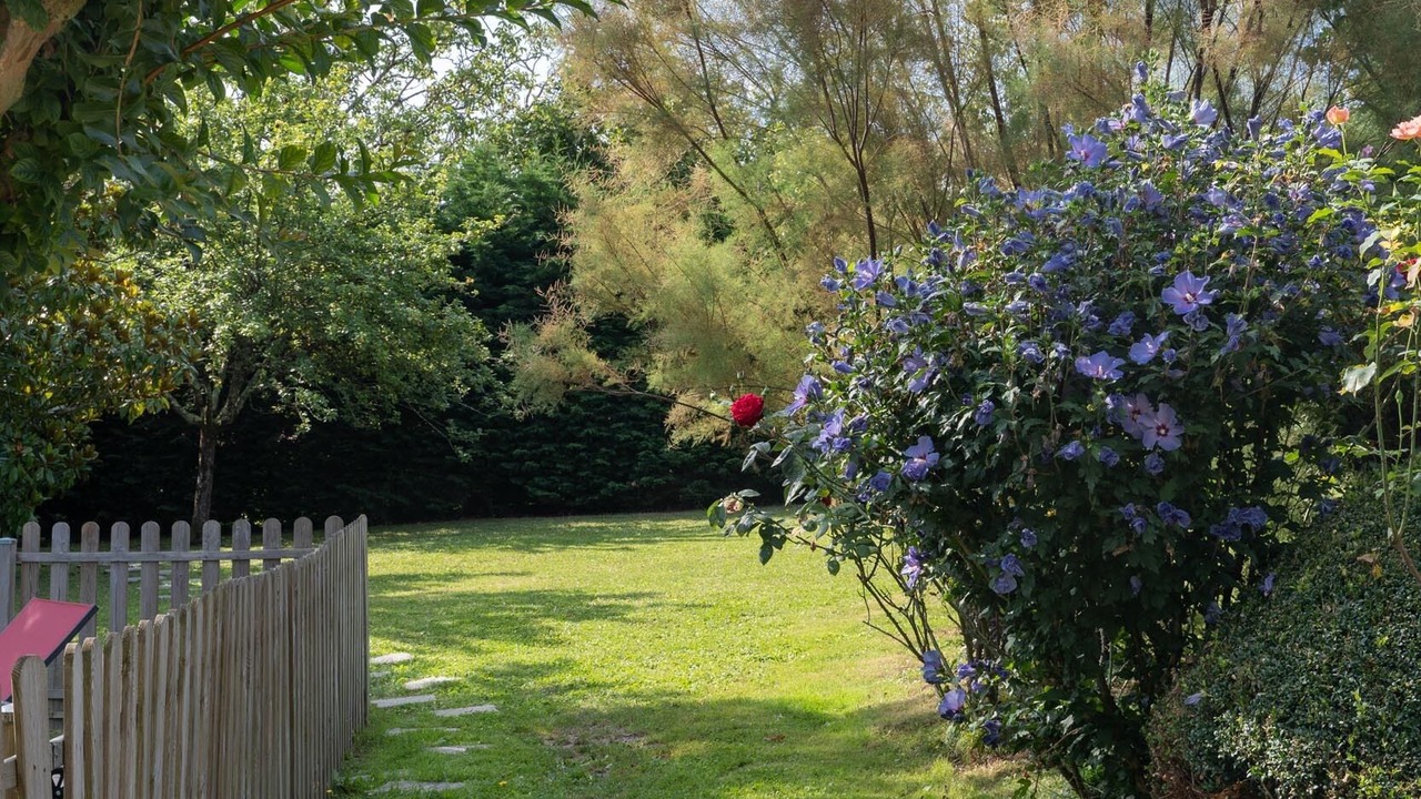 Photo of Outdoor in Francueil