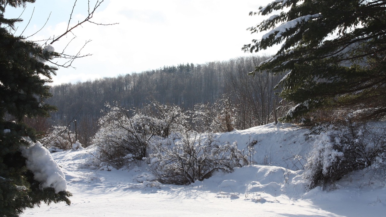 Photo of Others in Richmondville