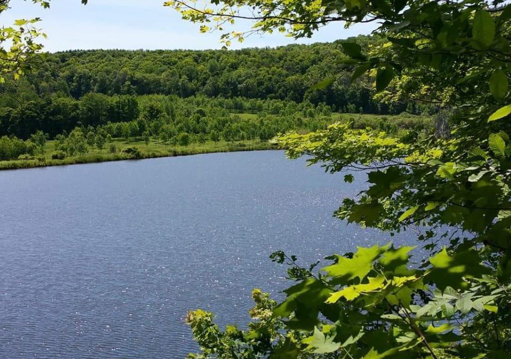 Photo of Outdoor in Richmondville