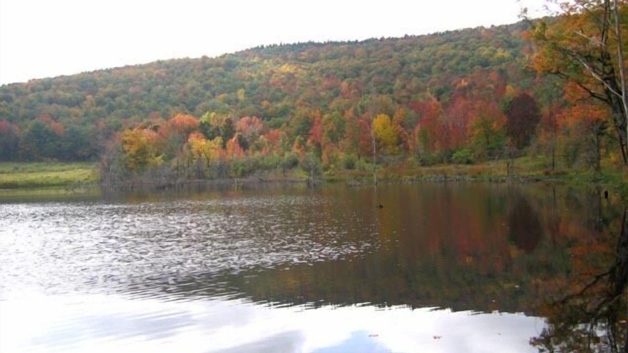 Photo of Others in Richmondville