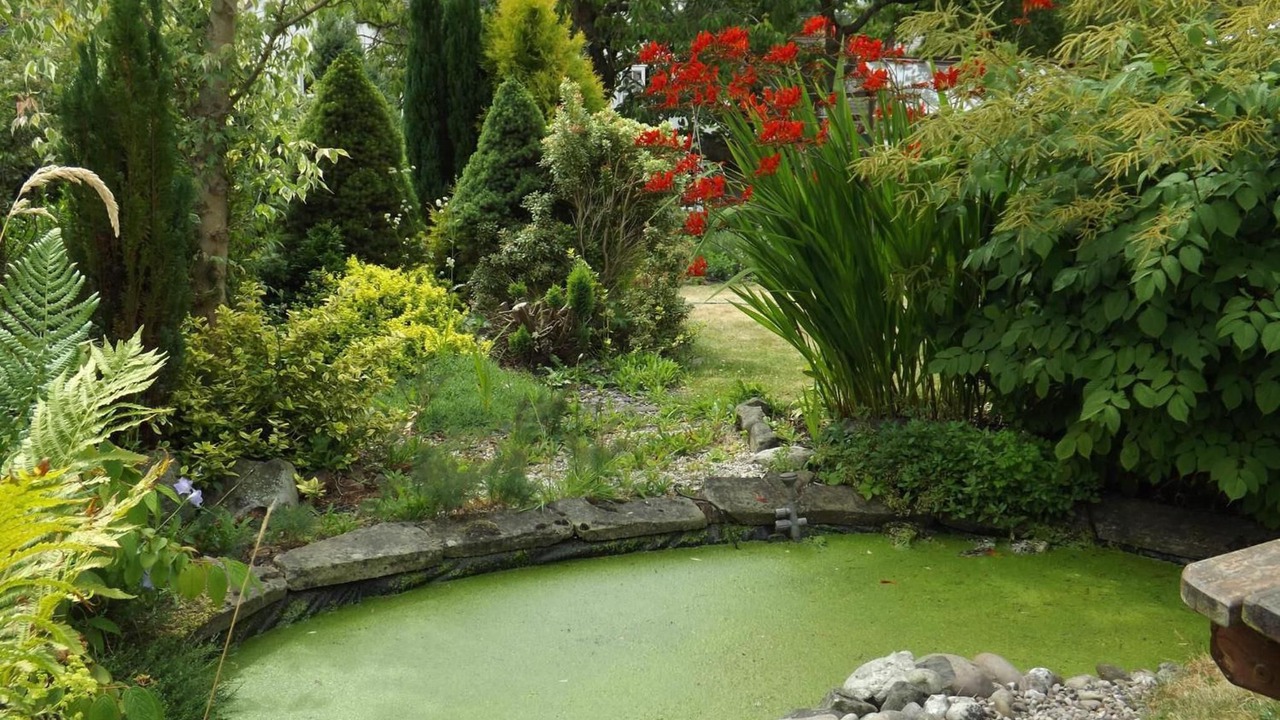 Photo of Outdoor in Wolverhampton