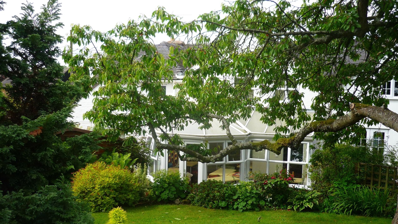 Photo of Outdoor in Wolverhampton