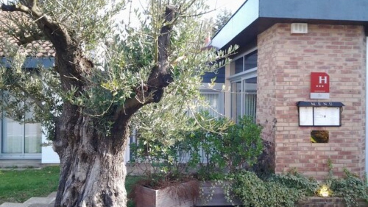 Photo of Outdoor in Limoges