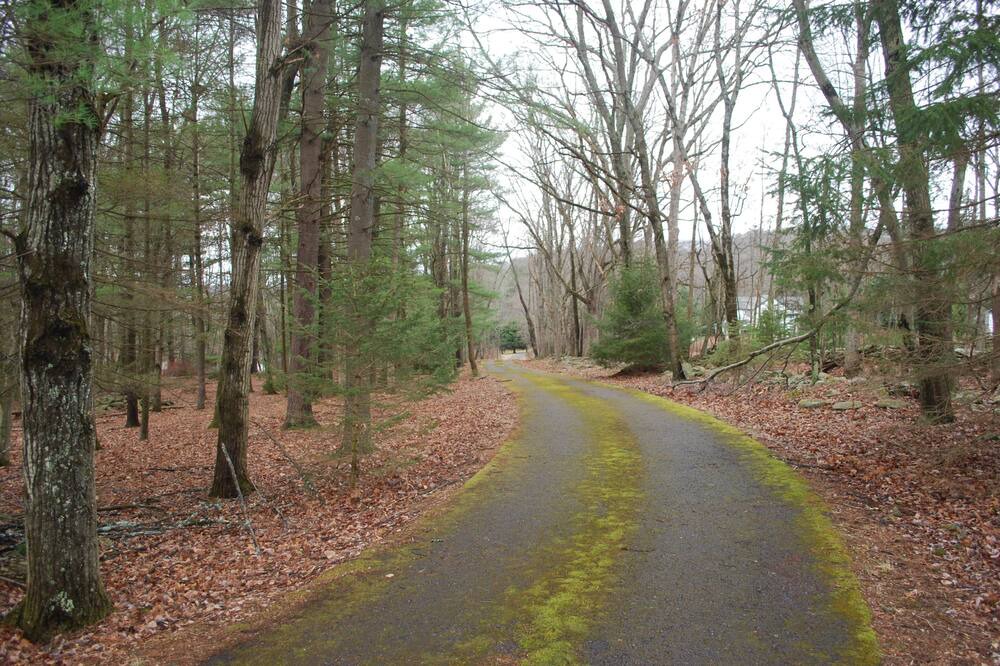 Photo of Others in White Mills