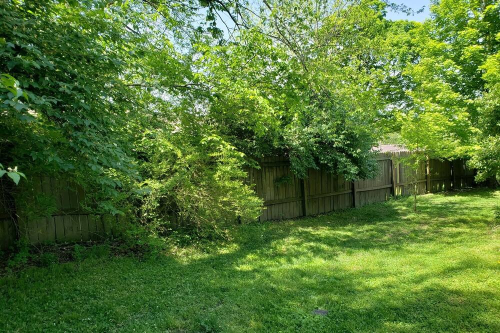 Photo of Outdoor in West Fork
