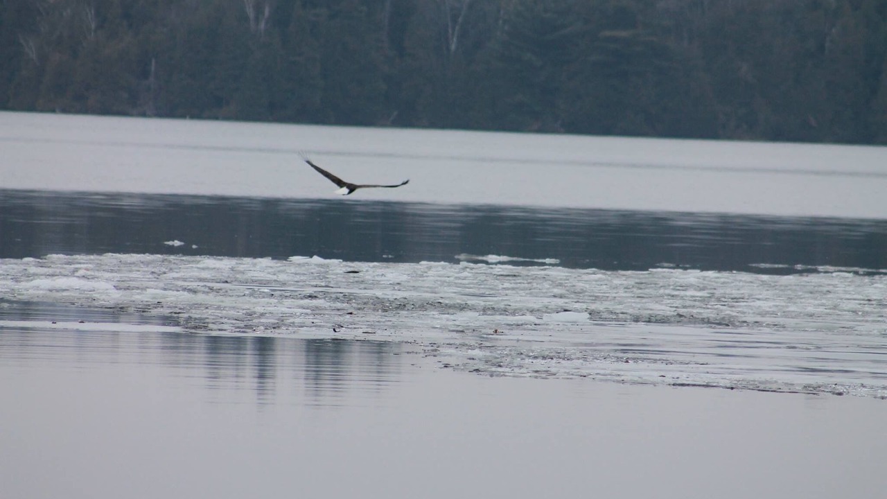 Photo of Outdoor in Lake Bonaparte