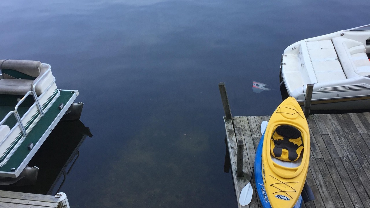 Photo of Others in Lake Bonaparte