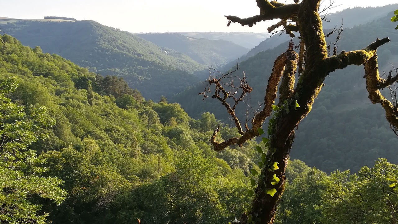 Photo of Outdoor in Cassaniouze
