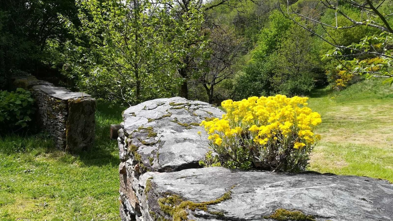 Photo of Outdoor in Cassaniouze