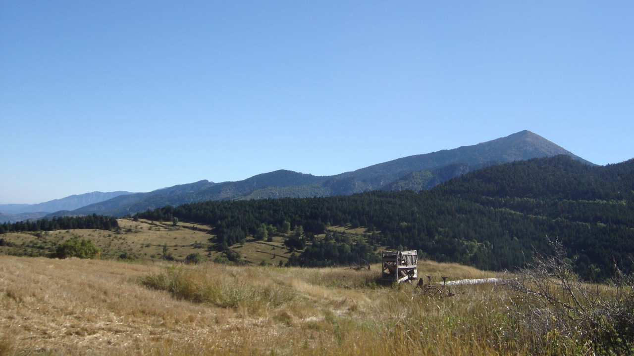 Photo of Others in Planes