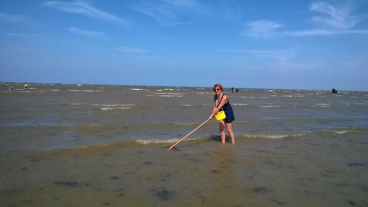 Photo of Others in Courseulles-sur-Mer