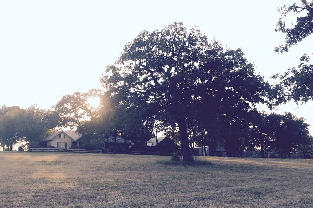 Photo of Others in Lee County