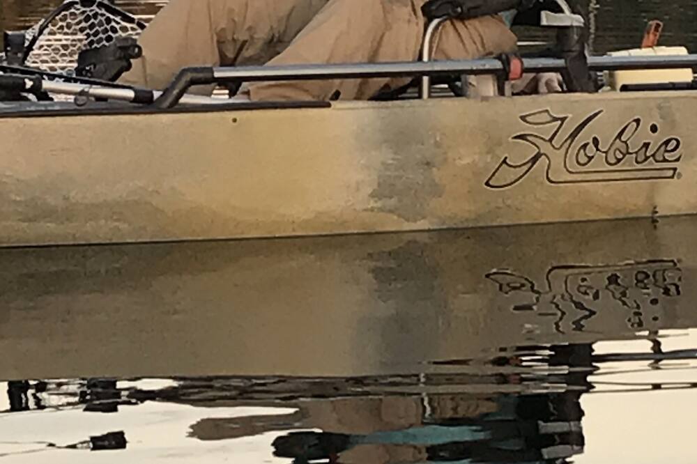 Photo of Others in Homosassa