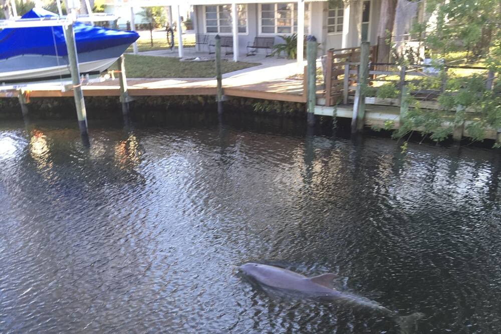 Photo of Others in Homosassa