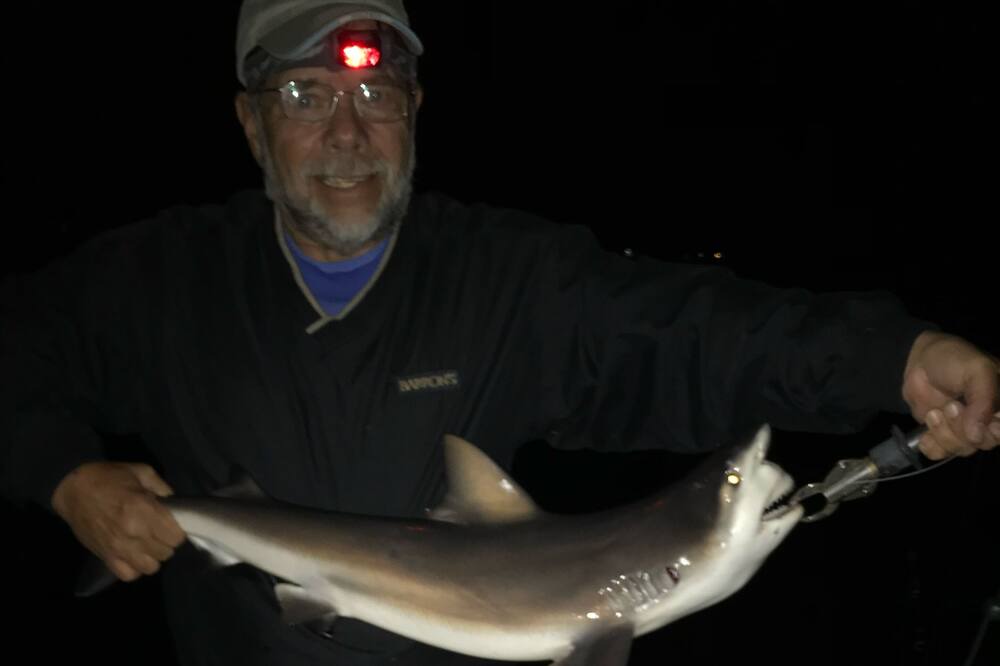 Photo of Others in Homosassa