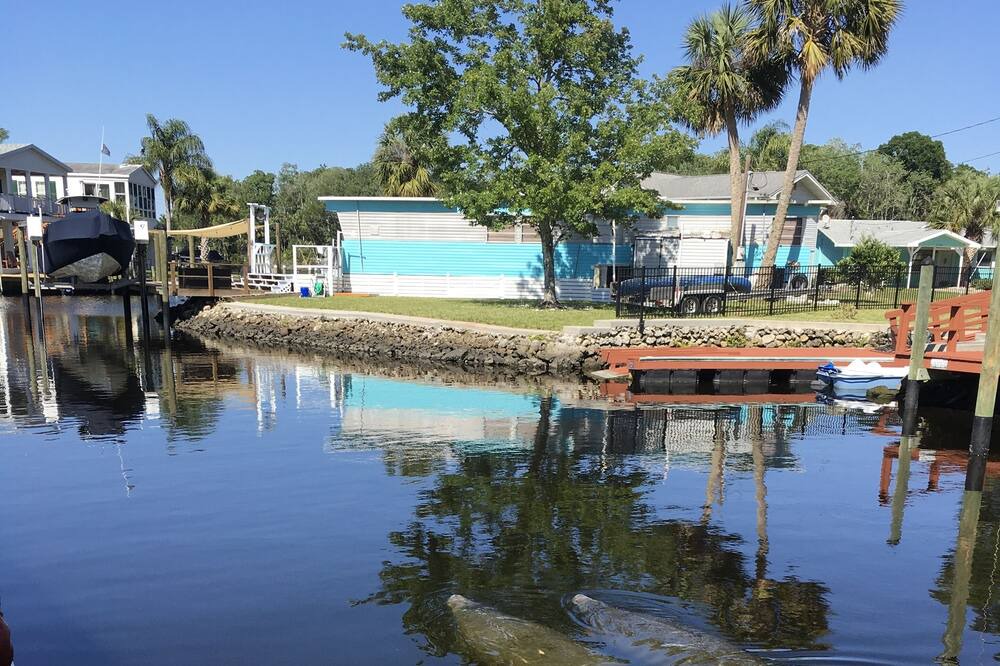 Photo of Others in Homosassa