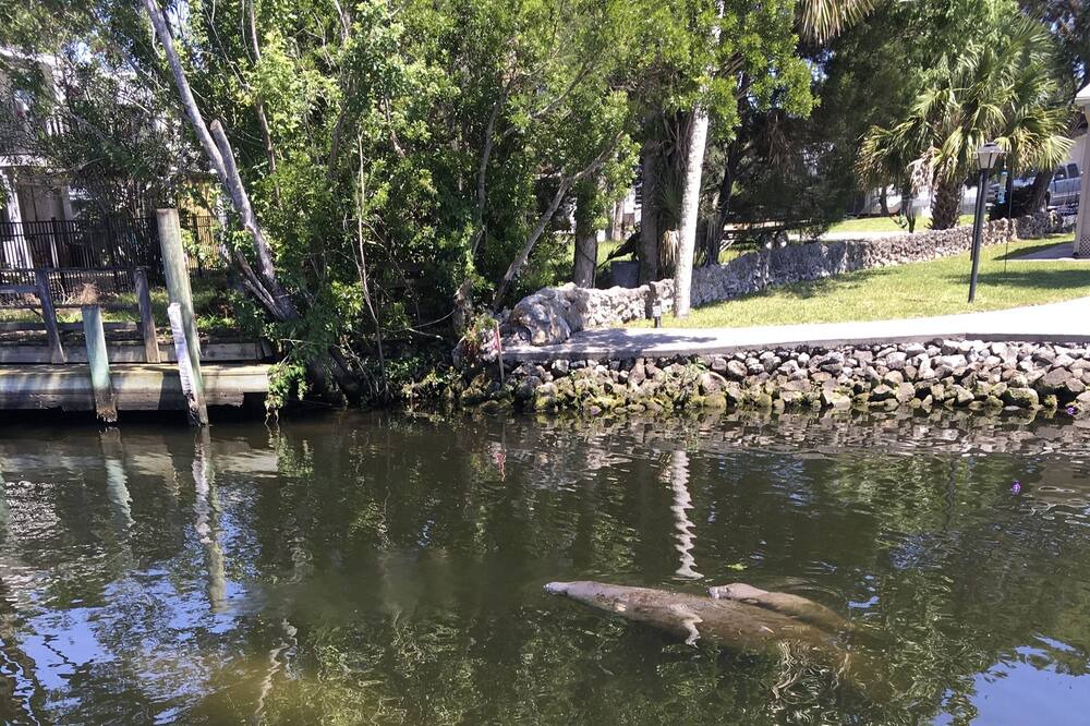 Photo of Outdoor in Homosassa