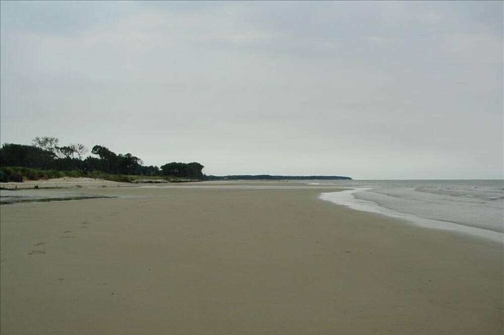 Photo of Others in Cape Charles
