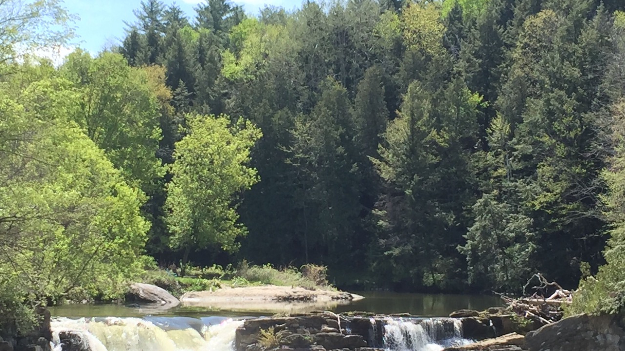 Photo of Outdoor in New Haven