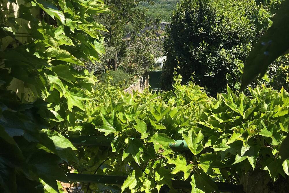Photo of Others in Villeneuve-les-Avignon