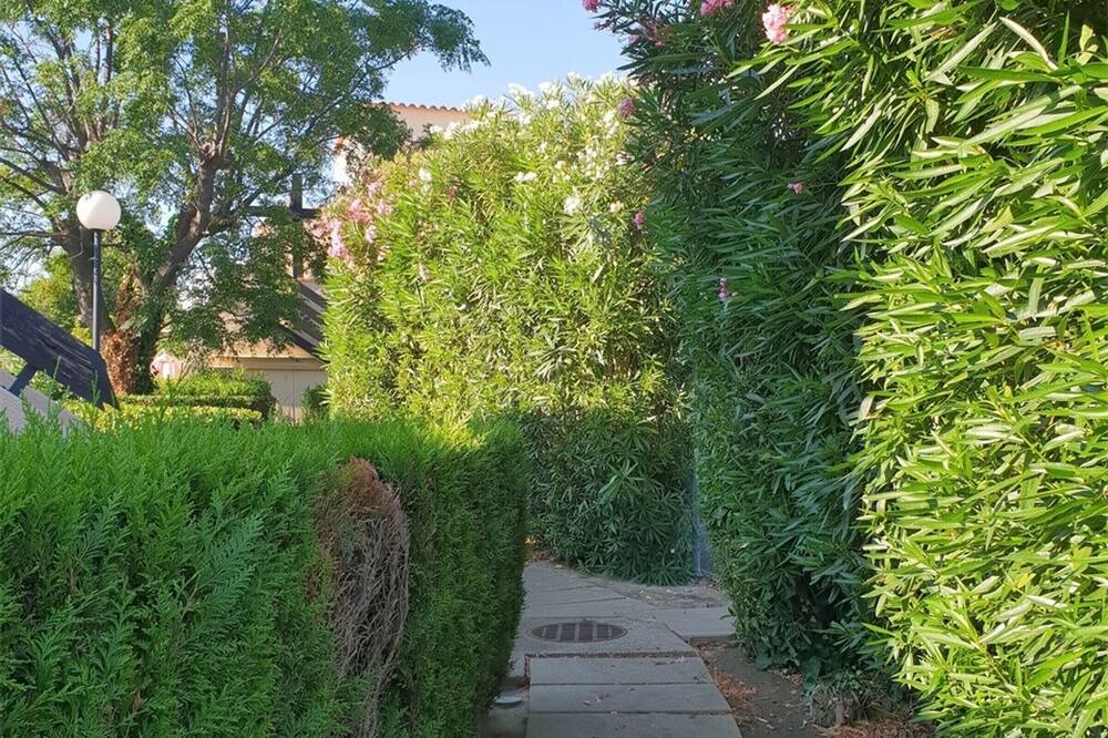 Photo of Outdoor in Latour-Bas-Elne
