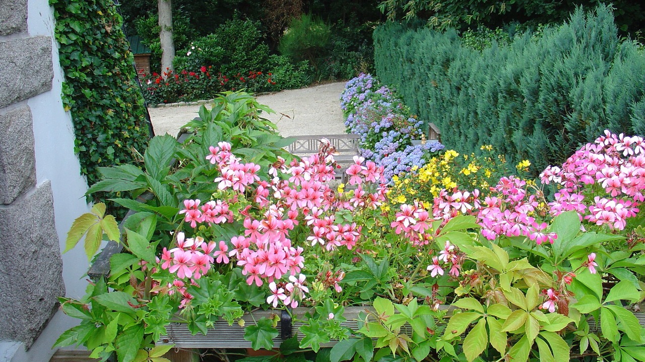 Photo of Outdoor in Le Hingle