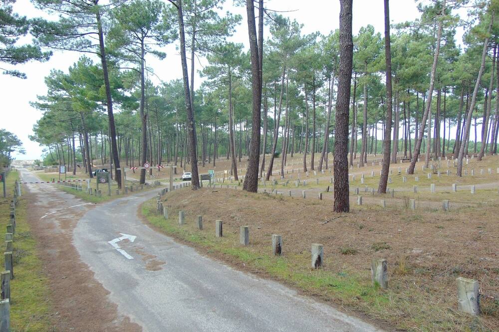 Photo of Outdoor in Bias