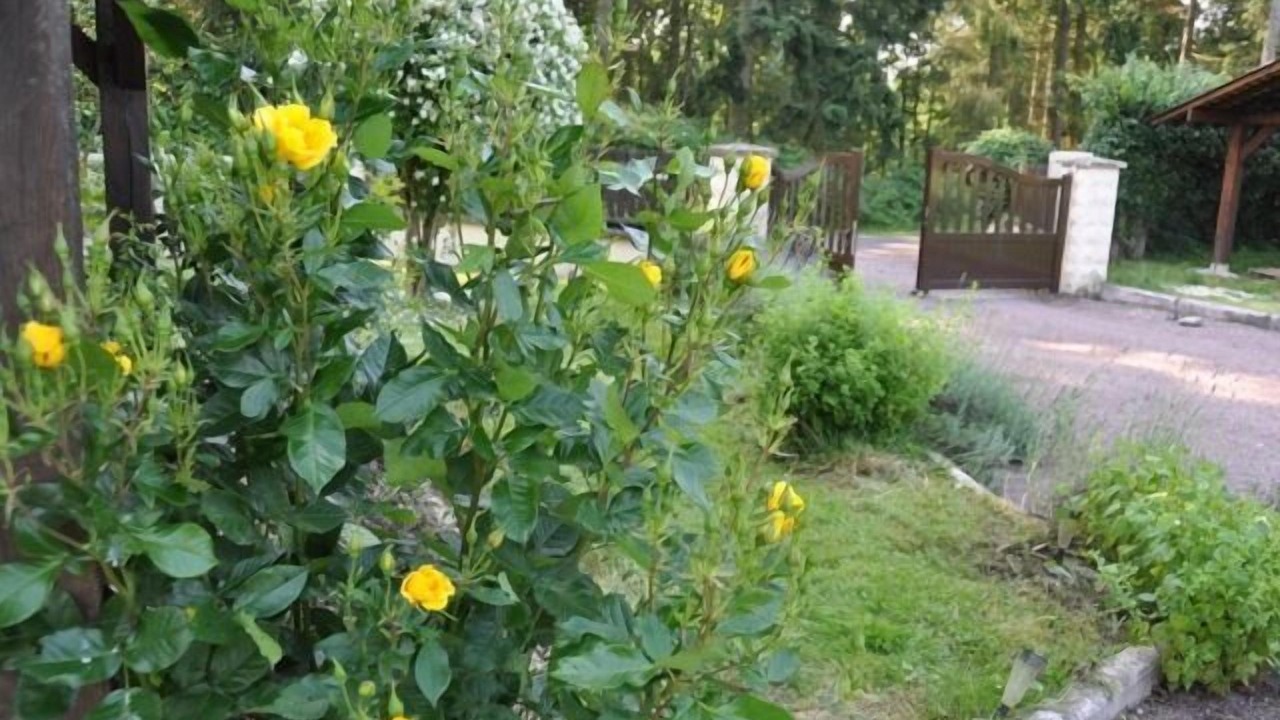 Photo of Outdoor in Saint-Christophe-sur-Conde