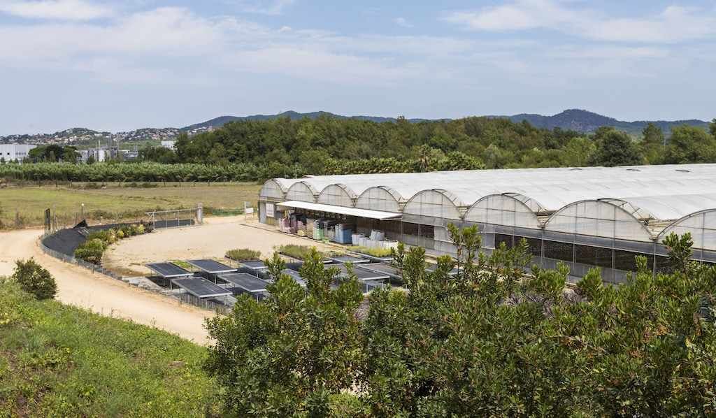 Photo of Outdoor in Palafolls