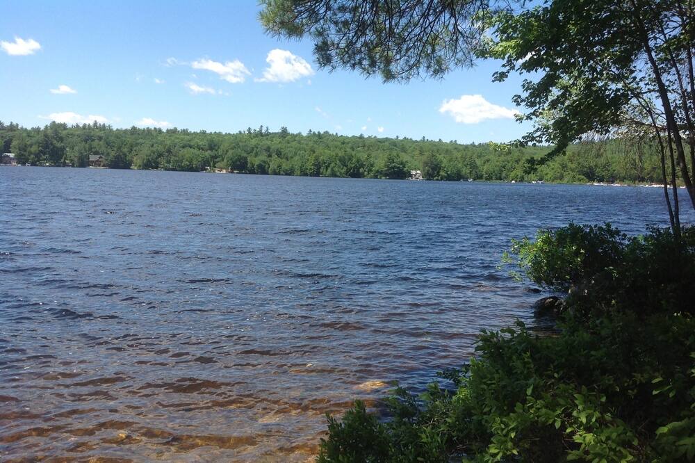 Photo of Others in Bridgton