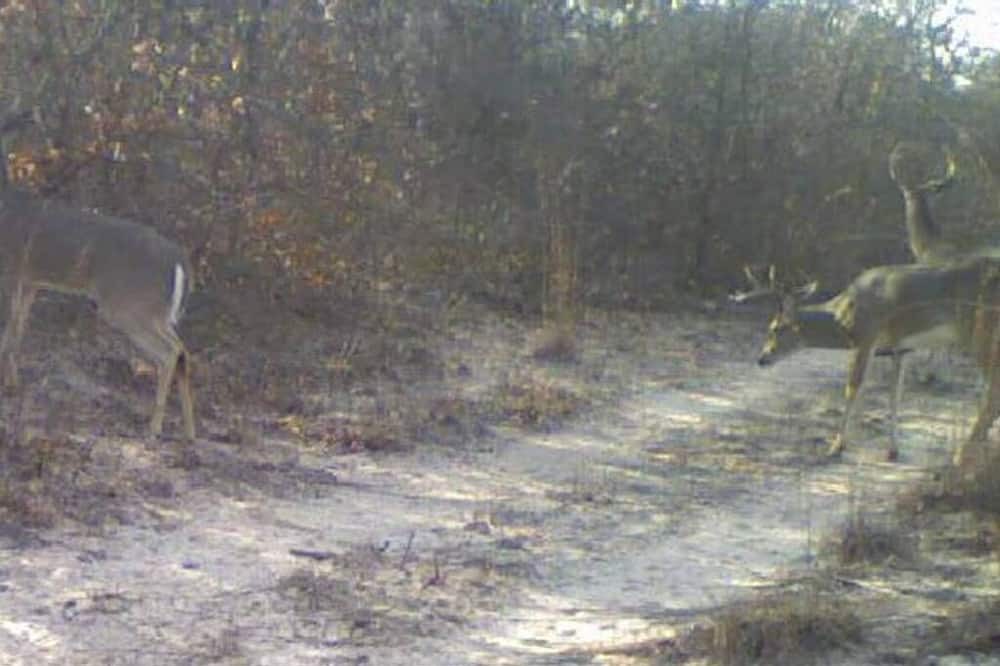 Photo of Others in Cisco