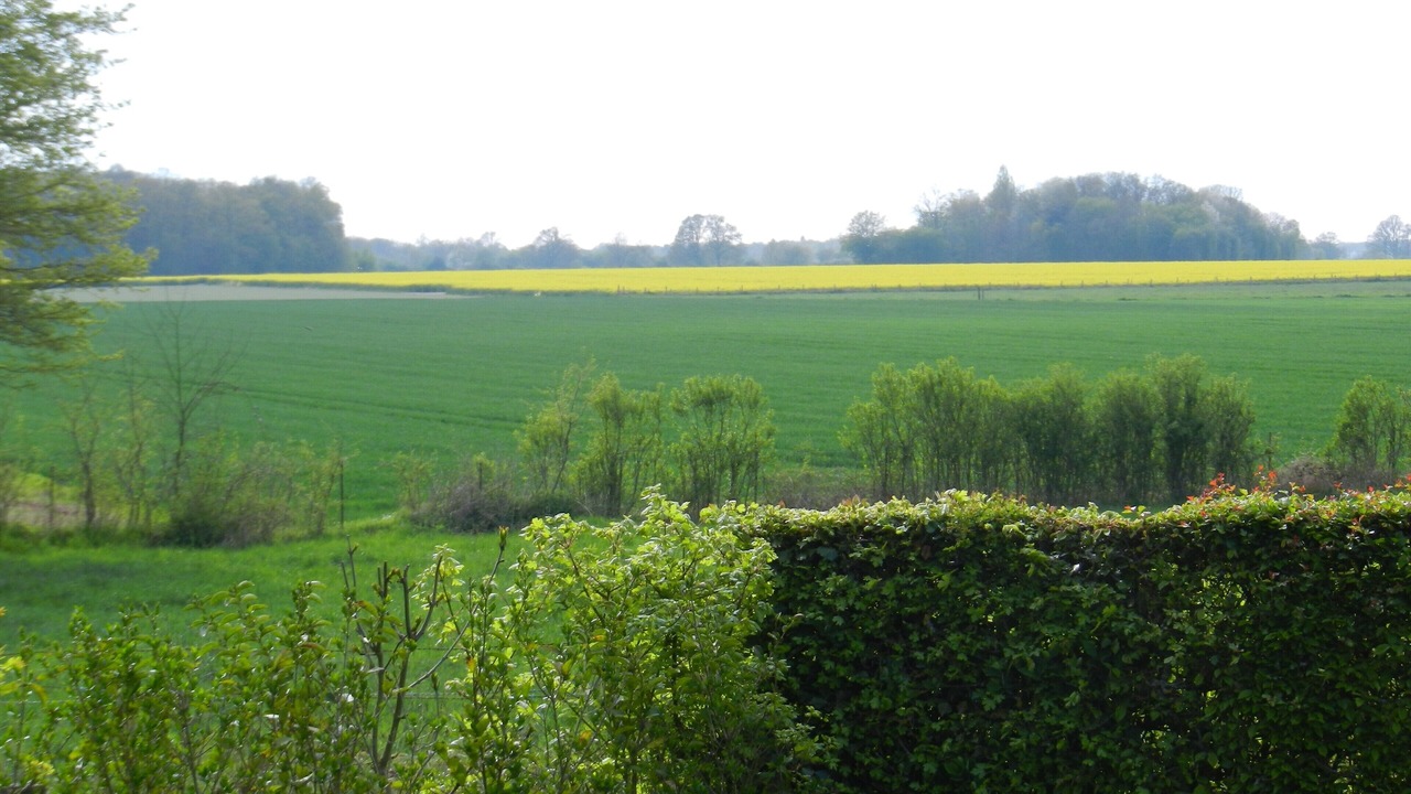 Photo of Outdoor in Thevray