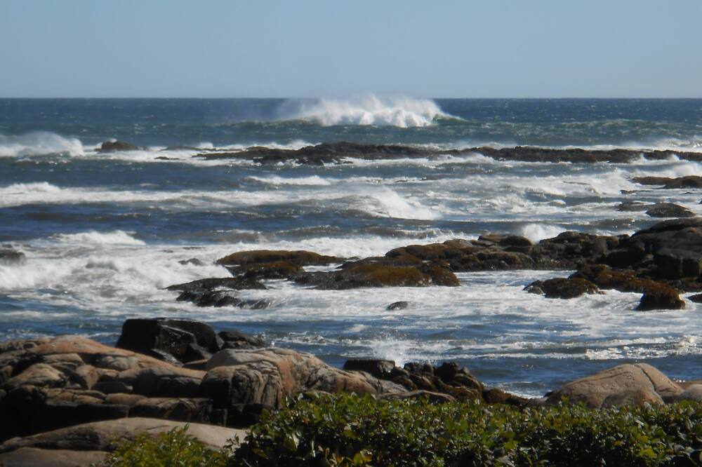 Photo of Others in Biddeford Pool