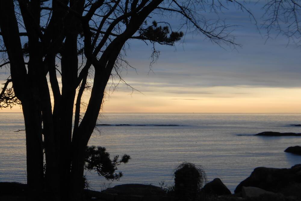 Photo of Others in Biddeford Pool