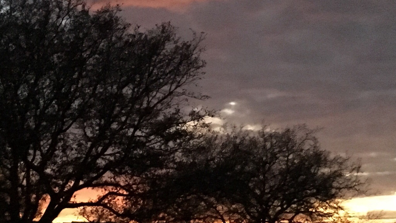 Photo of Outdoor in Barton Creek Lakeside