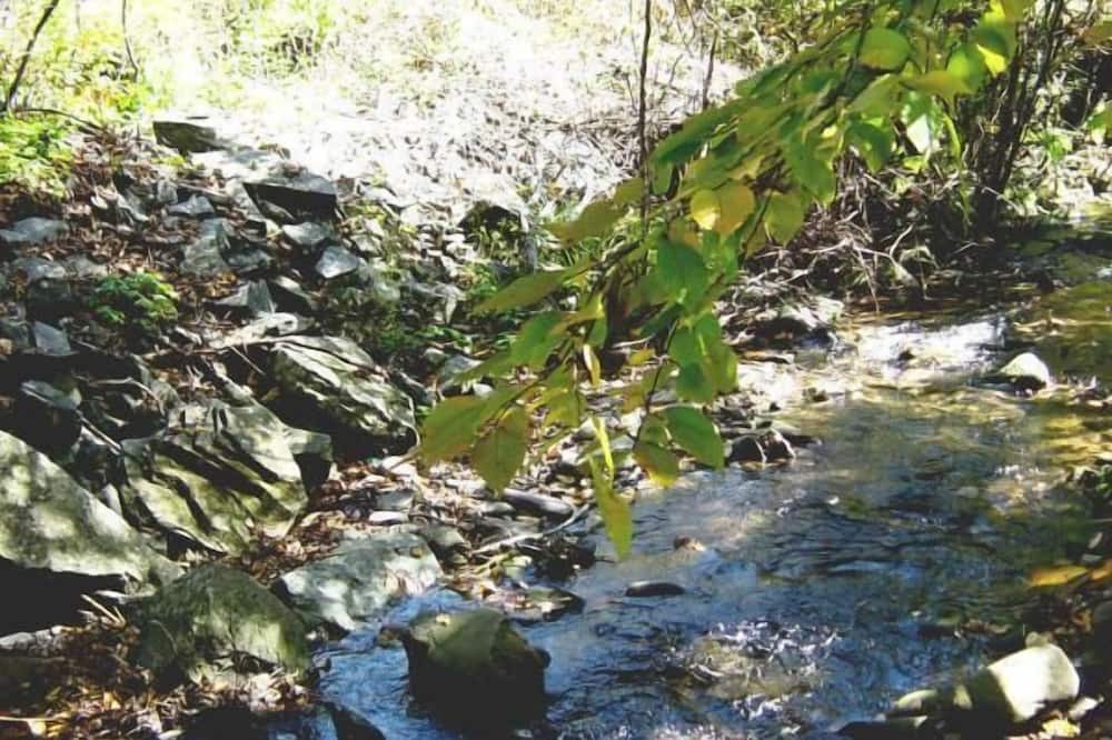 Photo of Others in Lanesville