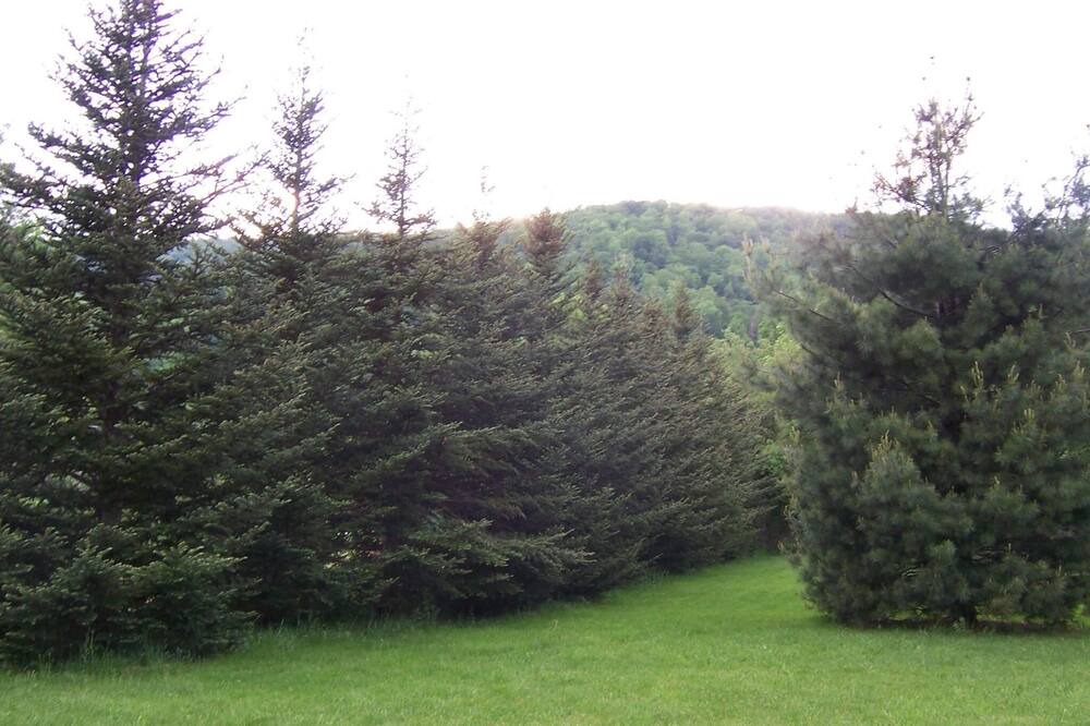 Photo of Outdoor in Lanesville