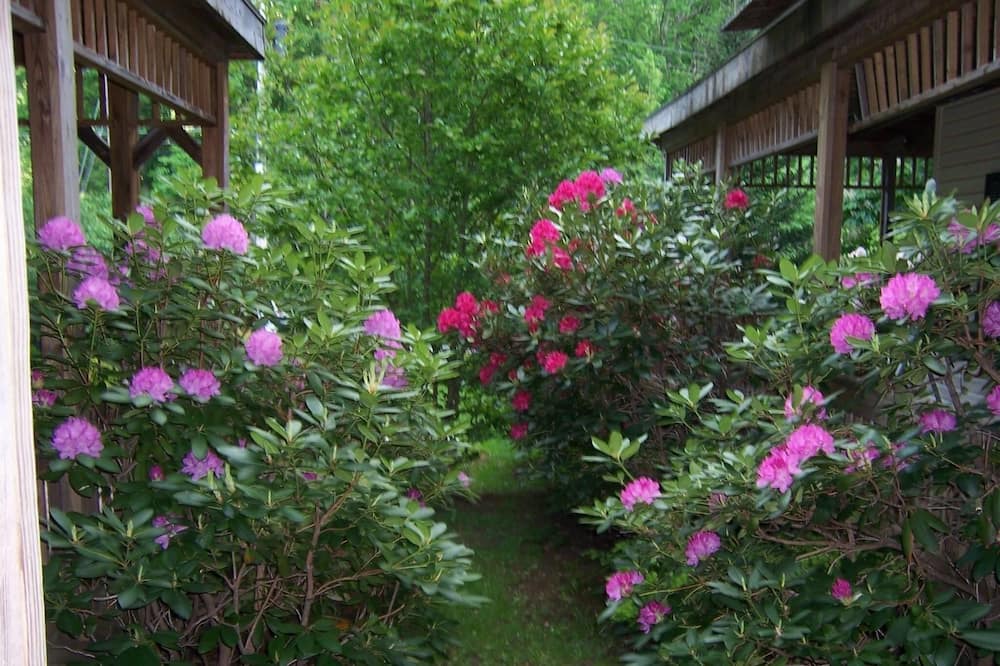 Photo of Outdoor in Lanesville