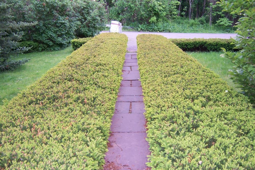 Photo of Outdoor in Lanesville