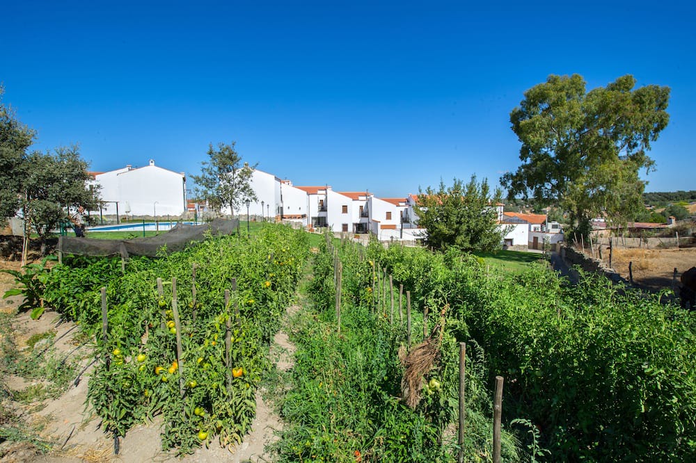 Photo of Outdoor in Cardena