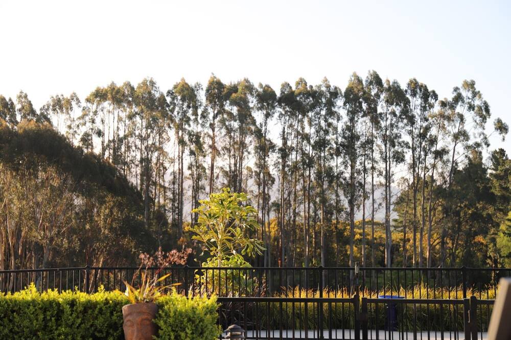 Photo of Outdoor in Aongatete