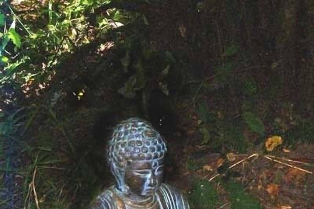 Photo of Others in Point Reyes Station